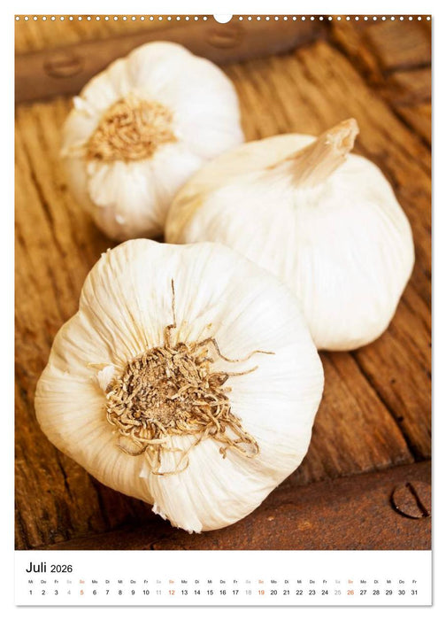 Kräuter, Gewürze & Co. 2026 (CALVENDO Premium Wandkalender 2026)