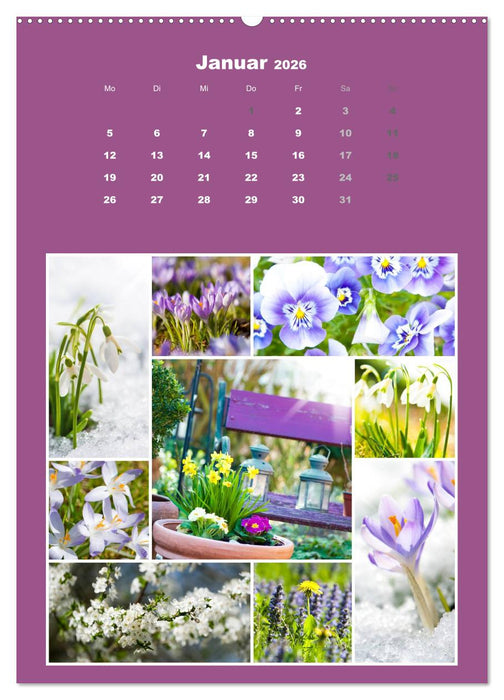Der kunterbunte Collagen Kalender (CALVENDO Premium Wandkalender 2026)