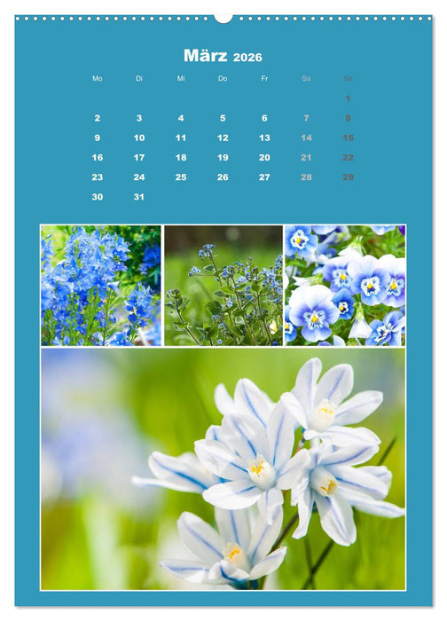 Der kunterbunte Collagen Kalender (CALVENDO Premium Wandkalender 2026)