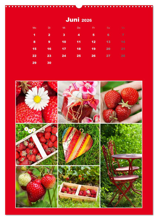 Der kunterbunte Collagen Kalender (CALVENDO Premium Wandkalender 2026)