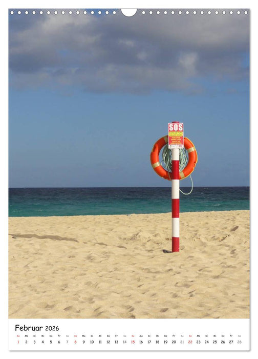 Fuerteventura -schlicht schön (CALVENDO Wandkalender 2026)