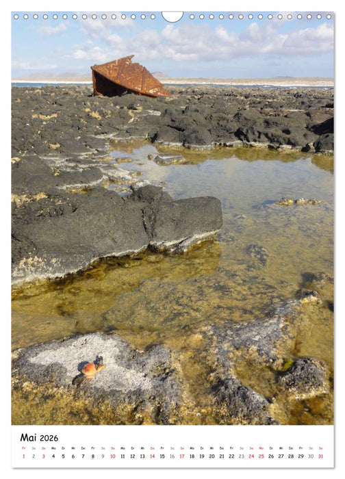 Fuerteventura -schlicht schön (CALVENDO Wandkalender 2026)