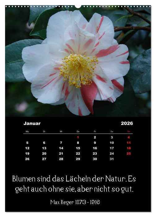 Sprüche und Zitate berühmter Personen über Blumen und Natur (CALVENDO Premium Wandkalender 2026)
