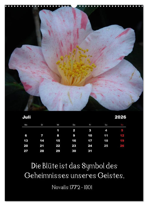 Sprüche und Zitate berühmter Personen über Blumen und Natur (CALVENDO Premium Wandkalender 2026)