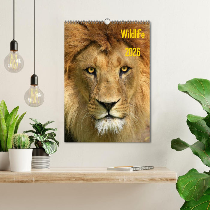 Wildlife 2026 (CALVENDO Wandkalender 2026)