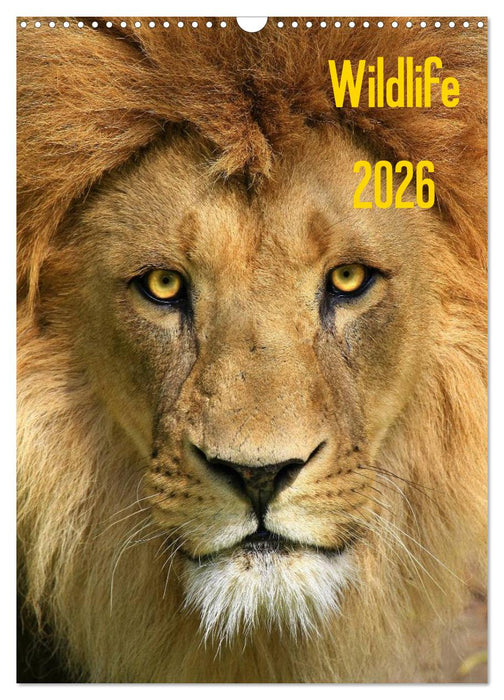 Wildlife 2026 (CALVENDO Wandkalender 2026)