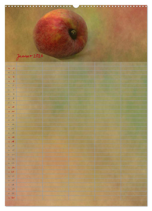 Familienplaner für die Küche. (CALVENDO Wandkalender 2026)