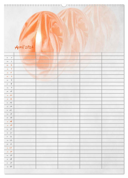 Familienplaner für die Küche. (CALVENDO Wandkalender 2026)