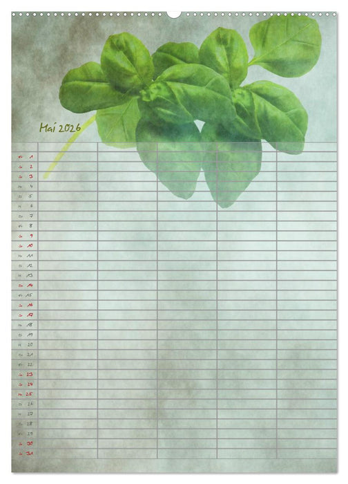 Familienplaner für die Küche. (CALVENDO Wandkalender 2026)