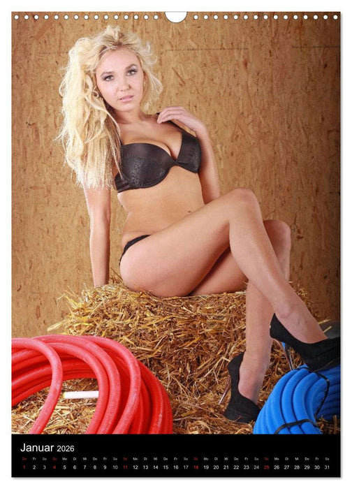 Werkstattkalender – Erotische Fotografien von Thomas Siepmann (CALVENDO Wandkalender 2026)