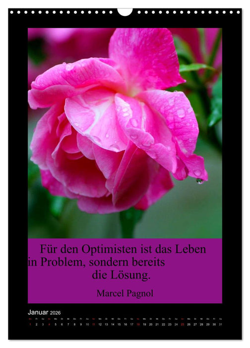 Lebensweisheiten mit Blumigen Grüßen (CALVENDO Wandkalender 2026)