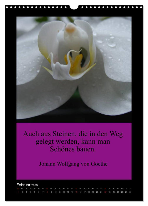 Lebensweisheiten mit Blumigen Grüßen (CALVENDO Wandkalender 2026)