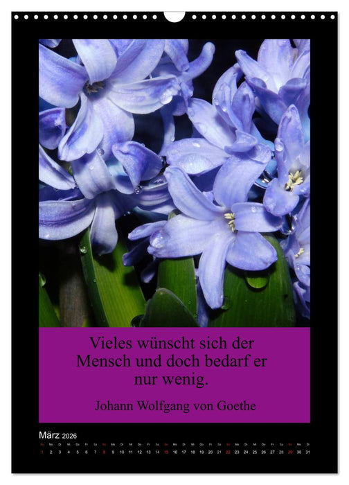 Lebensweisheiten mit Blumigen Grüßen (CALVENDO Wandkalender 2026)