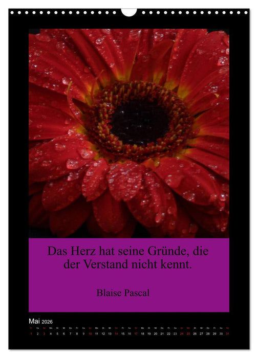 Lebensweisheiten mit Blumigen Grüßen (CALVENDO Wandkalender 2026)