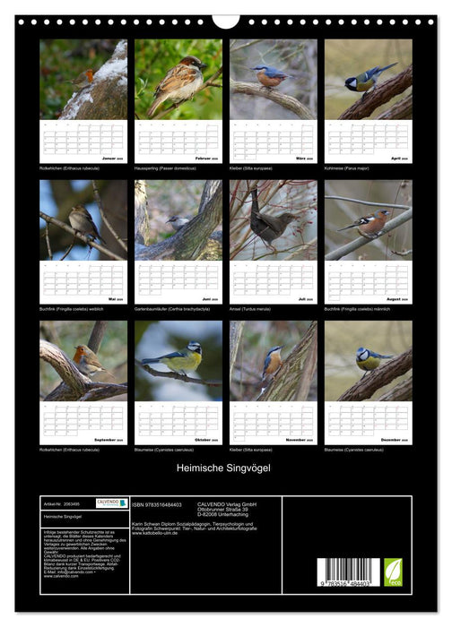 Heimische Singvögel (CALVENDO Wandkalender 2026)