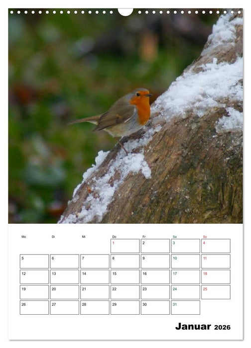 Heimische Singvögel (CALVENDO Wandkalender 2026)