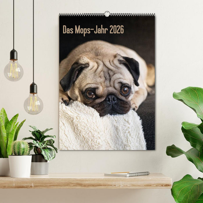 Das Mops-Jahr 2026 (CALVENDO Wandkalender 2026)
