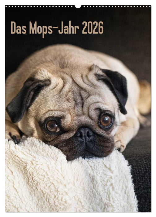Das Mops-Jahr 2026 (CALVENDO Wandkalender 2026)