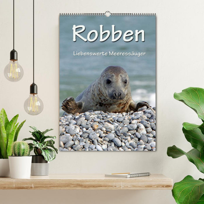 Robben (CALVENDO Wandkalender 2026)