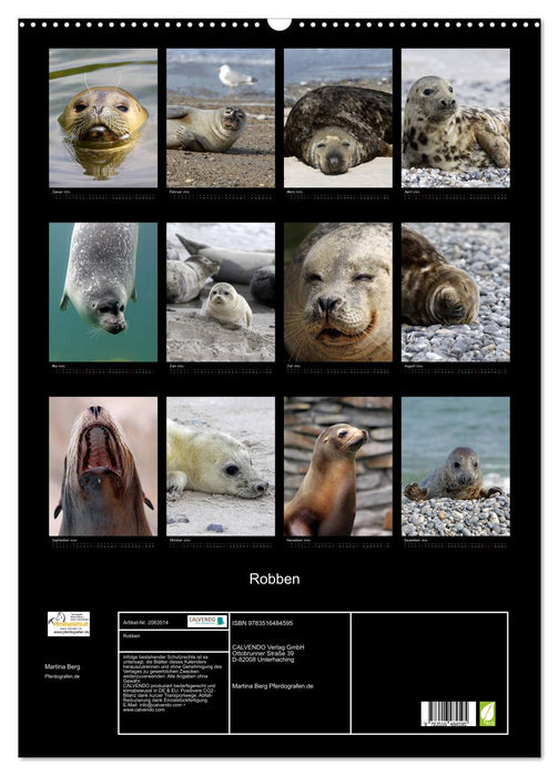 Robben (CALVENDO Wandkalender 2026)