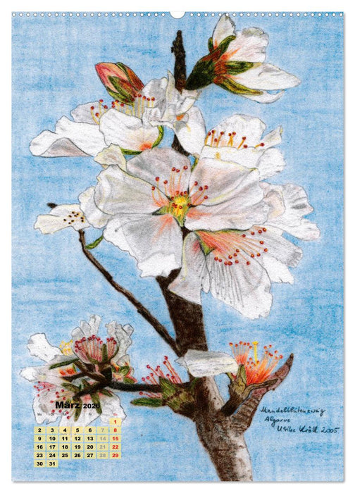 Kunstkalender 2026 - Zauber der Malerei (CALVENDO Wandkalender 2026)