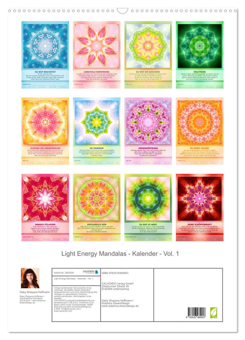 Light Energy Mandalas - Kalender - Vol. 1 (CALVENDO Wandkalender 2026)