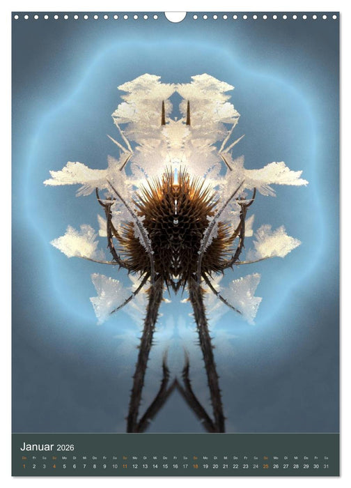 Spiegelwelten - Botschaften der Naturwesen (CALVENDO Wandkalender 2026)