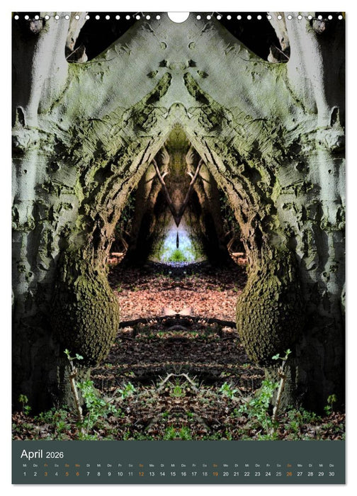 Spiegelwelten - Botschaften der Naturwesen (CALVENDO Wandkalender 2026)