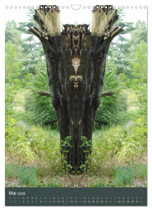 Spiegelwelten - Botschaften der Naturwesen (CALVENDO Wandkalender 2026)