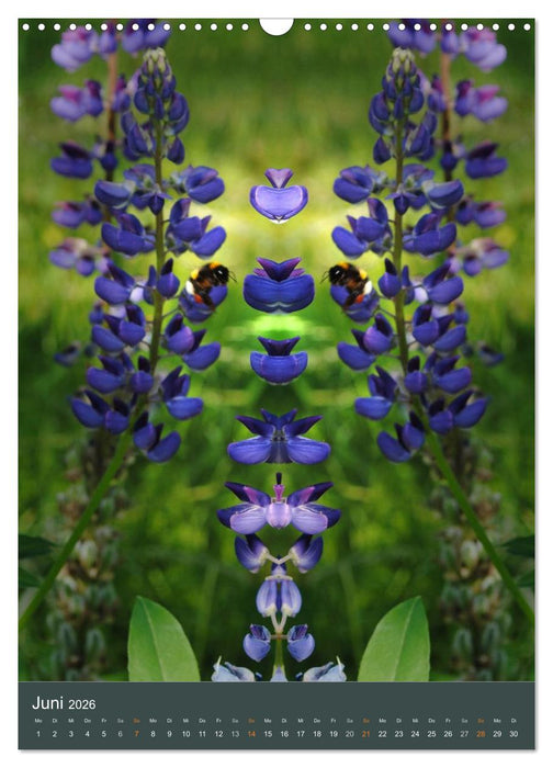 Spiegelwelten - Botschaften der Naturwesen (CALVENDO Wandkalender 2026)