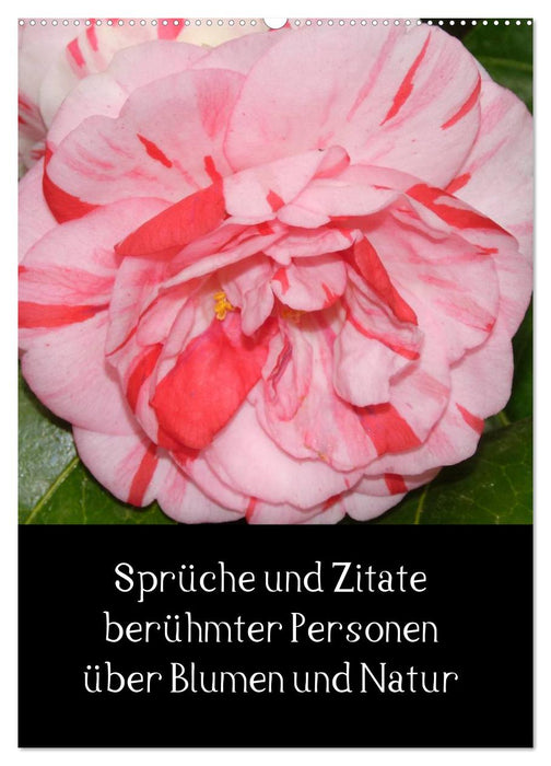 Sprüche und Zitate berühmter Personen über Blumen und Natur (CALVENDO Wandkalender 2026)