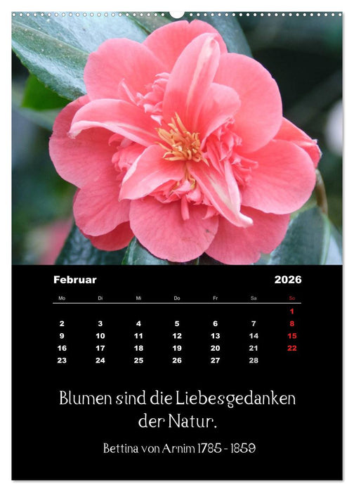 Sprüche und Zitate berühmter Personen über Blumen und Natur (CALVENDO Wandkalender 2026)