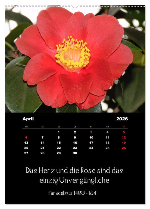 Sprüche und Zitate berühmter Personen über Blumen und Natur (CALVENDO Wandkalender 2026)