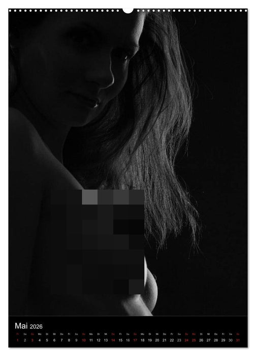 Erotische Silhouetten (CALVENDO Premium Wandkalender 2026)