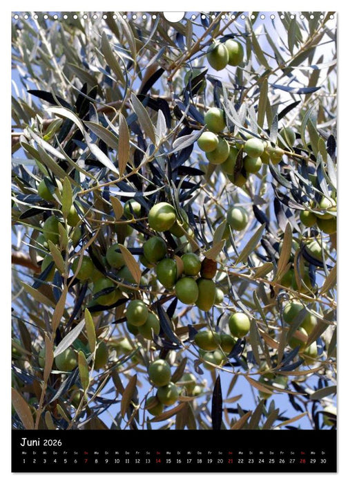 Griechenland - Insel Kos (CALVENDO Wandkalender 2026)