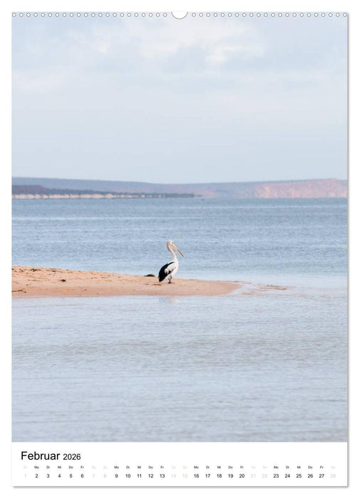 australian animals (CALVENDO Premium Wandkalender 2026)