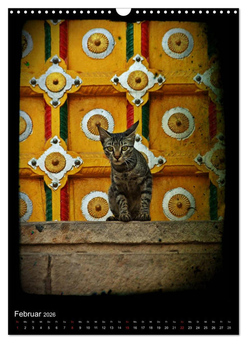india RETROspective - Indien Kalender (CALVENDO Wandkalender 2026)