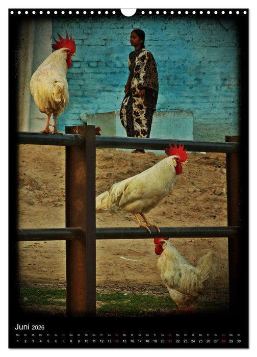 india RETROspective - Indien Kalender (CALVENDO Wandkalender 2026)