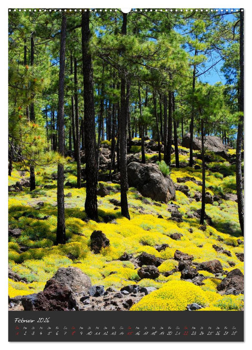 TENERIFFA (CALVENDO Premium Wandkalender 2026)