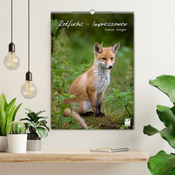 Rotfuchs - Impressionen (CALVENDO Wandkalender 2026)