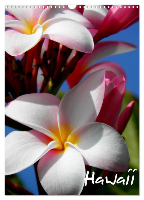 Hawaii (CALVENDO Wandkalender 2026)