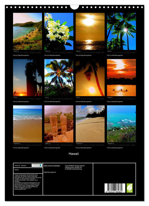 Hawaii (CALVENDO Wandkalender 2026)