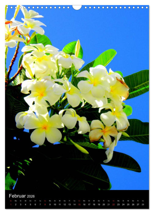 Hawaii (CALVENDO Wandkalender 2026)