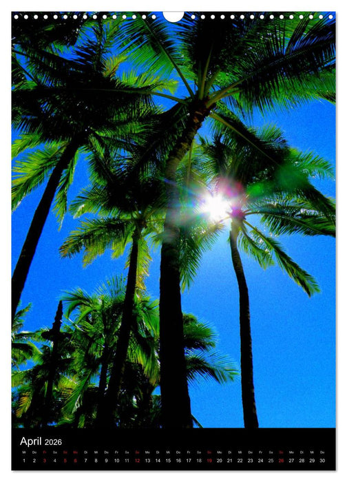 Hawaii (CALVENDO Wandkalender 2026)