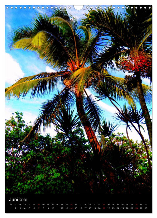 Hawaii (CALVENDO Wandkalender 2026)