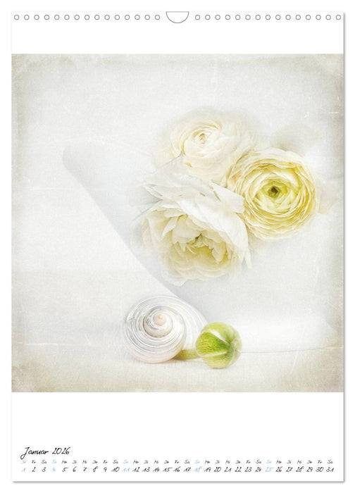 Blütenträume (CALVENDO Wandkalender 2026)