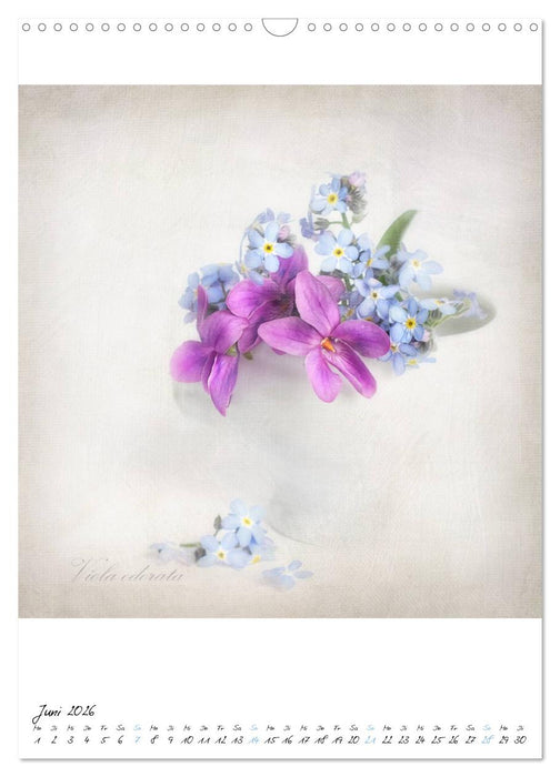 Blütenträume (CALVENDO Wandkalender 2026)