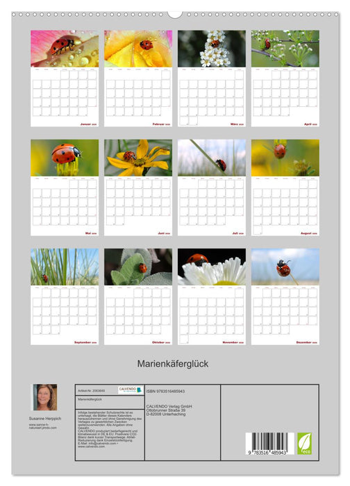 Marienkäferglück (CALVENDO Premium Wandkalender 2026)
