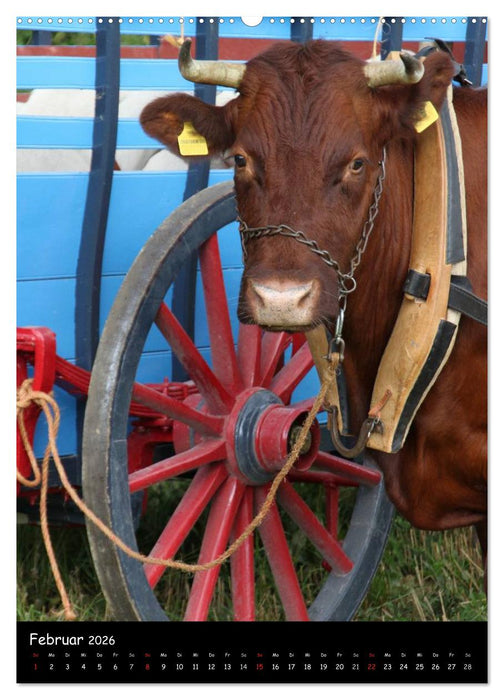 Ländliche Idylle (CALVENDO Wandkalender 2026)
