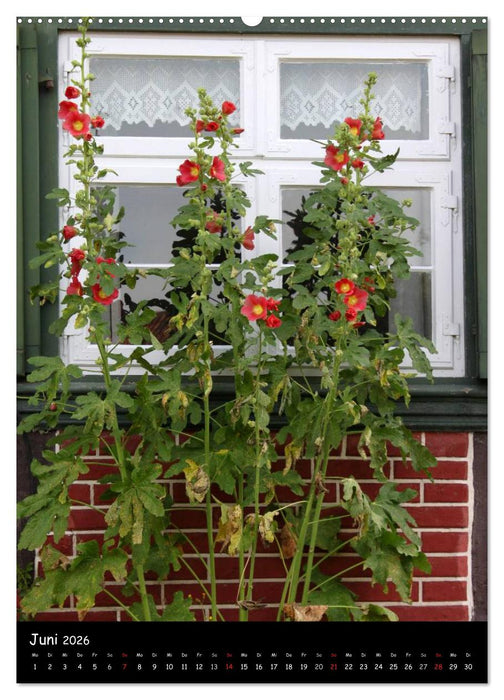 Ländliche Idylle (CALVENDO Wandkalender 2026)